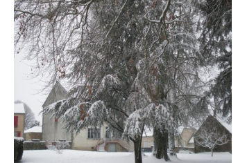 Le parc municipal sous la neige lj